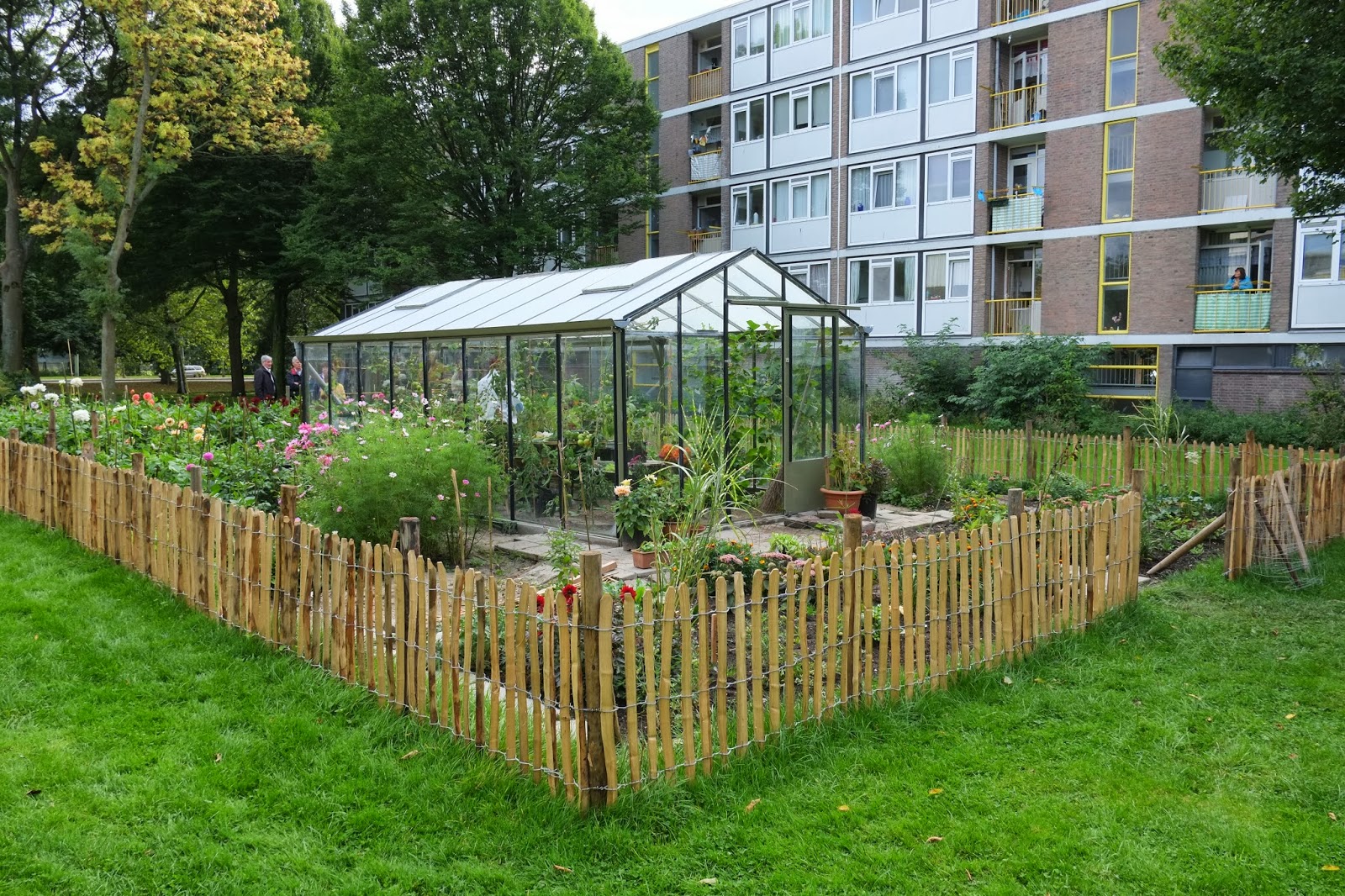 kas-in-tuintje-o-grasveld (1)